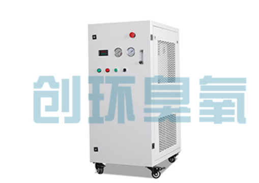 巴音郭楞石斑鱼养殖水质调控完整指南：臭氧发生器配置与操作步骤