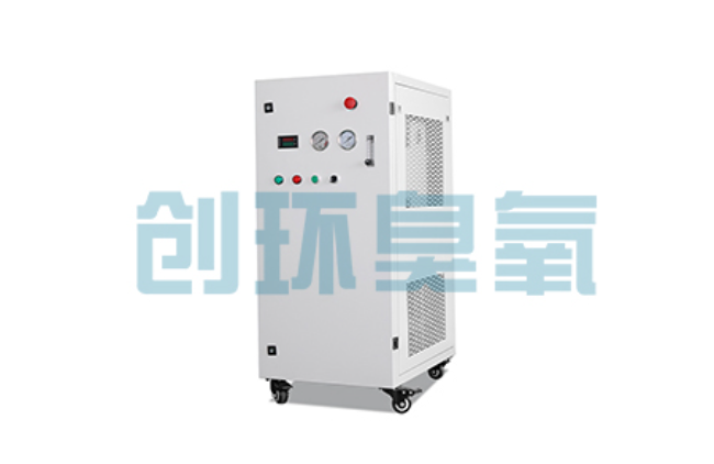 巴音郭楞比传统换水更高效？臭氧发生器在石斑鱼养殖中的水质净化原理解析