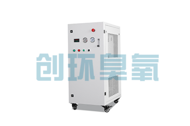 巴音郭楞比传统换水更高效？臭氧发生器在石斑鱼养殖中的水质净化原理解析